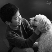 ペットフォト　フォトスタジオリーフ