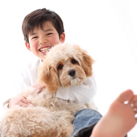 ペットフォト　フォトスタジオリーフ
