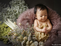 世田谷喜多見狛江のベビーフォト　エンジェルフォト