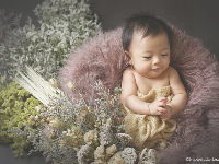 世田谷喜多見狛江のベビーフォト　エンジェルフォト