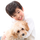 犬　ペット　家族写真