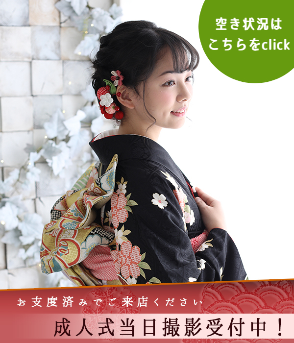 世田谷　狛江　成人式　撮影　レンタル